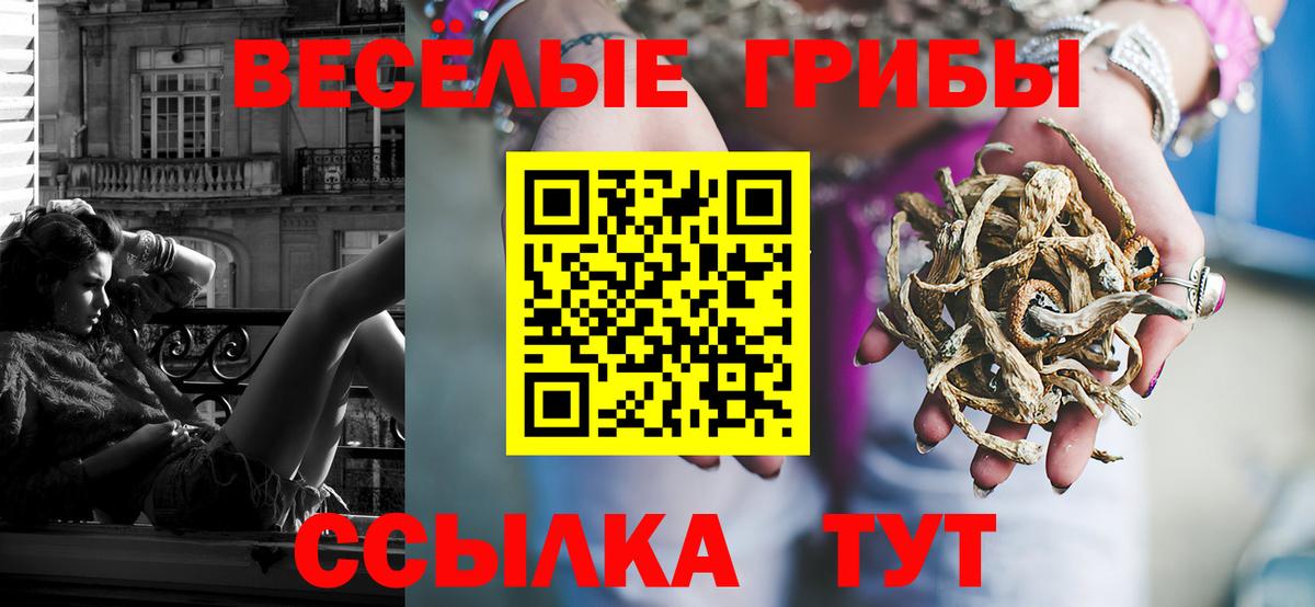 Псилоцибиновые грибы прущие грибы  Вход с VPN  наркошоп  Можга  Галлюциногенные грибы Psilocybine cubensis 